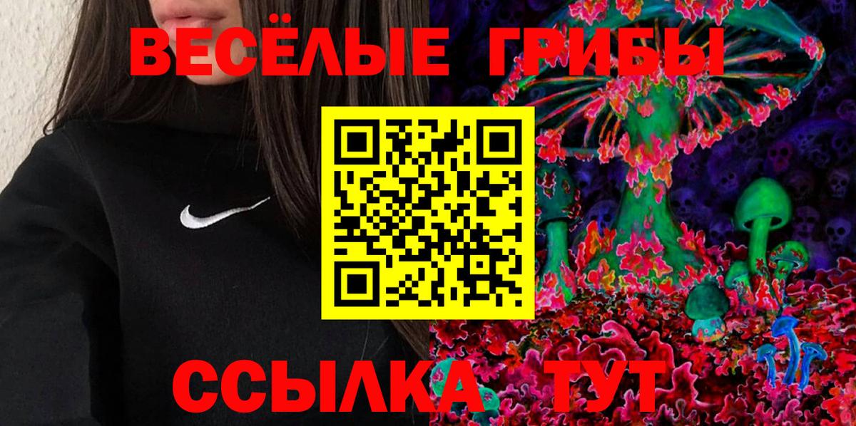 Краснознаменск  Псилоцибиновые грибы мицелий  магазин  наркотиков  Галлюциногенные грибы Magic Shrooms  Вход с VPN 
